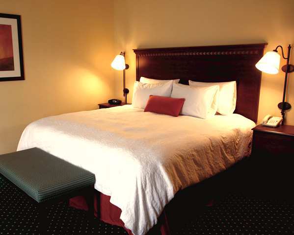 Hampton Inn Petersburg - Southpark Mall Colonial Heights Bilik gambar